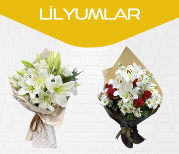 Lilyumlar